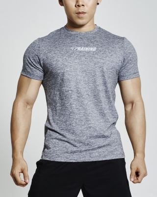Performance Training Shirt (Grey)